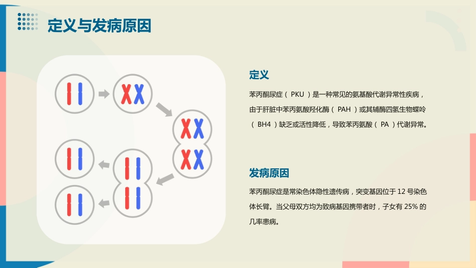 苯丙酮尿症PPT演示课件_第4页