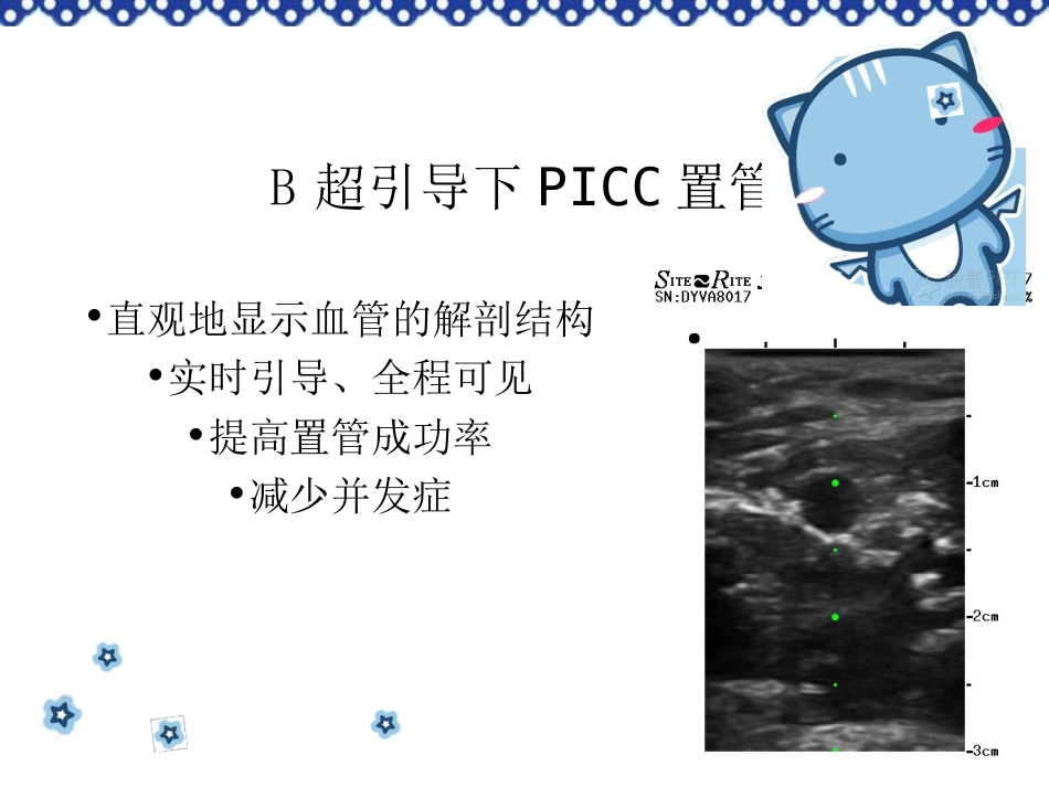 小儿PICC穿刺及维护_第5页