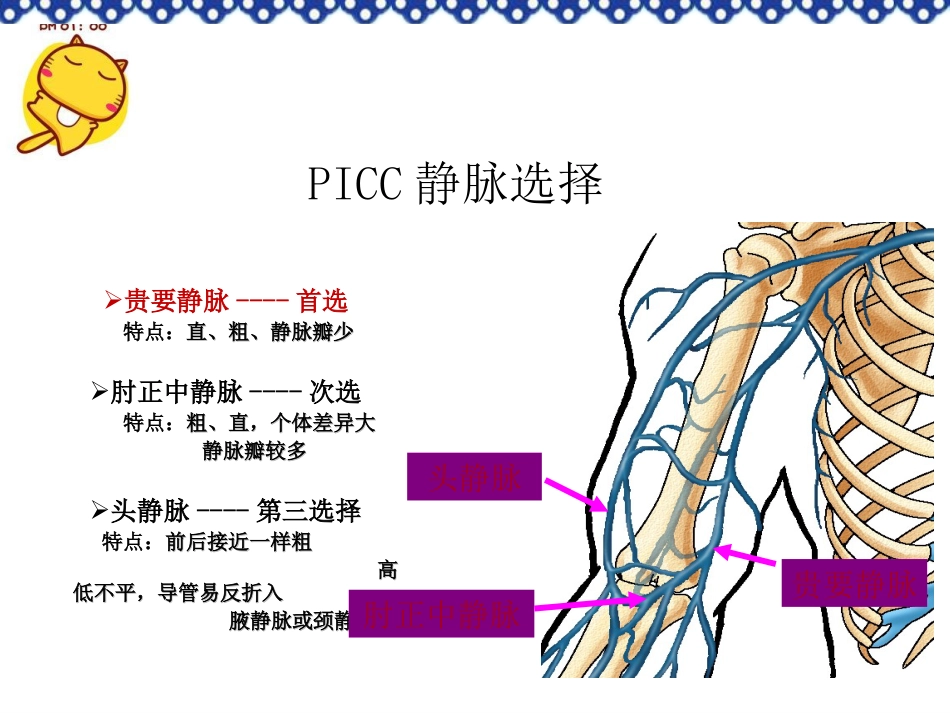 小儿PICC穿刺及维护_第9页