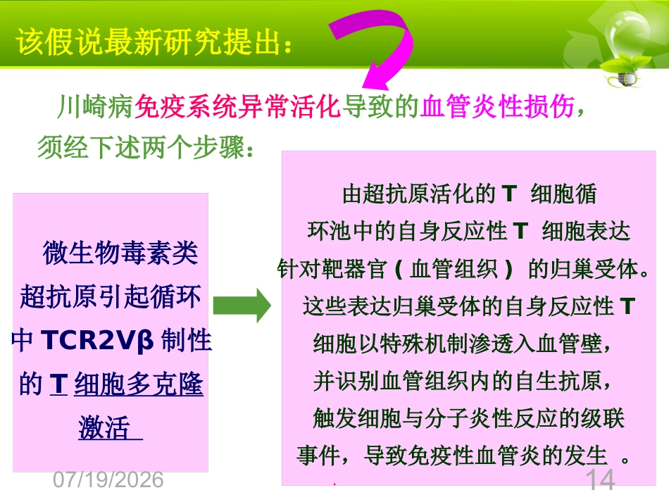 儿科案例---川崎病_第14页