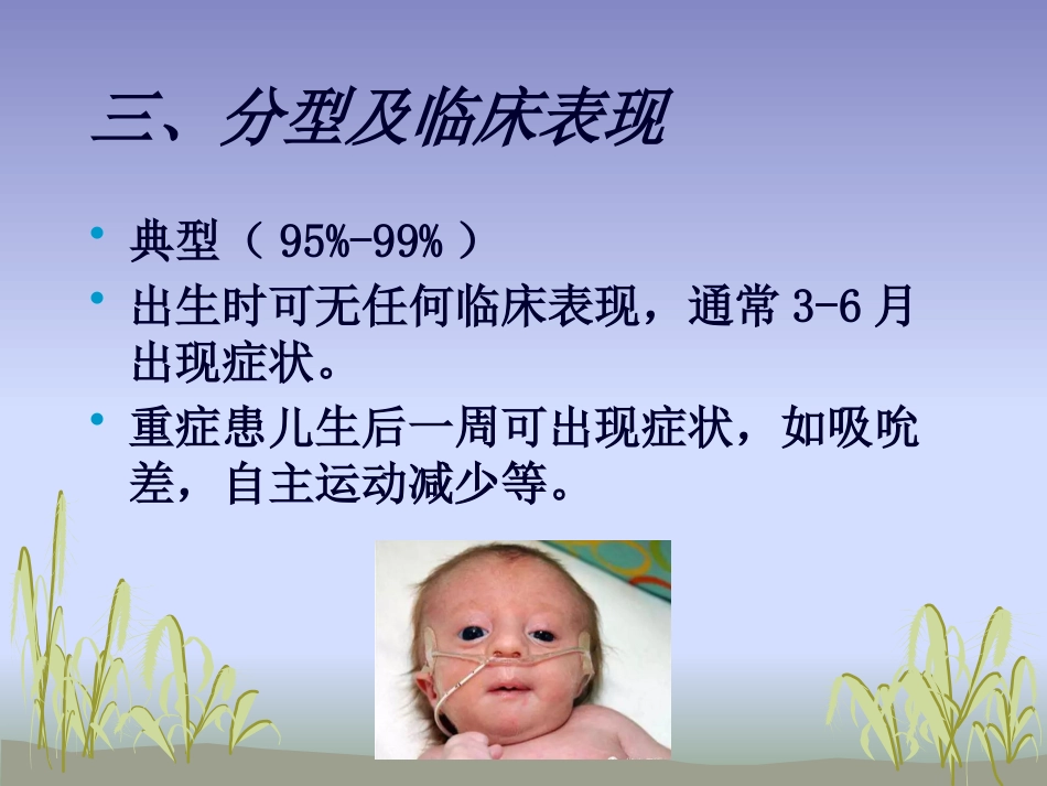 苯丙酮尿症护理_第12页