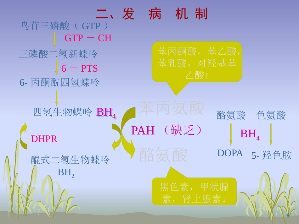 苯丙酮尿症护理_第6页