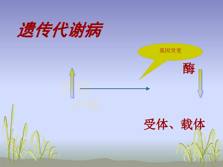 苯丙酮尿症护理_第7页