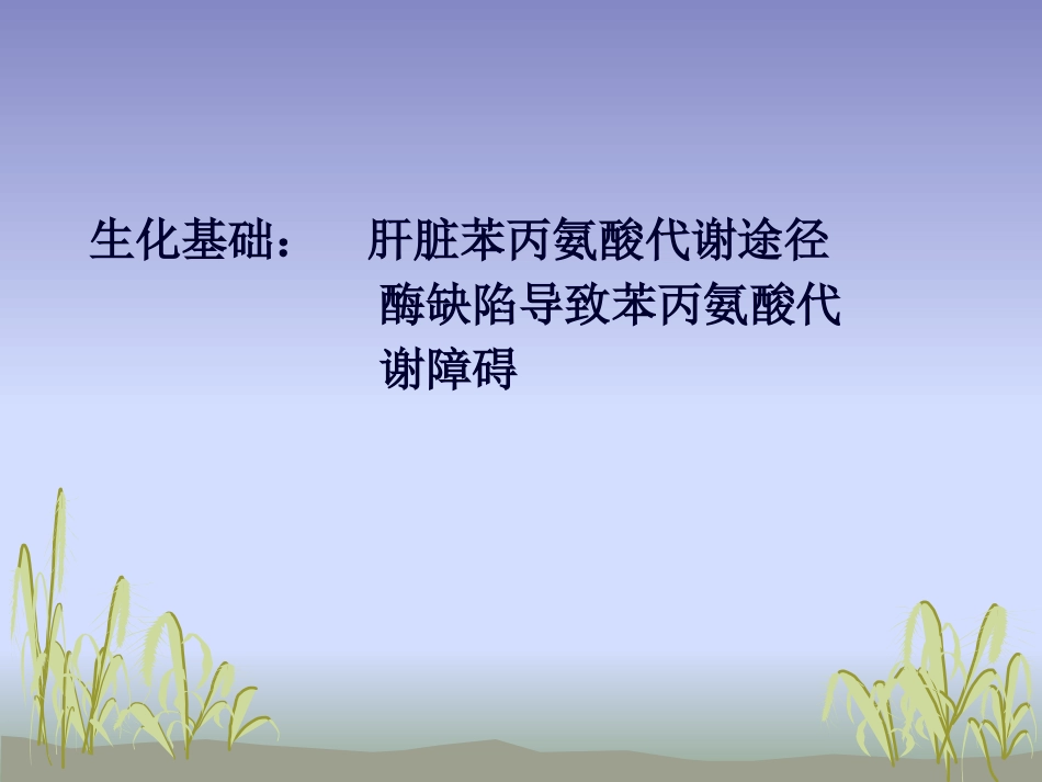 苯丙酮尿症护理_第8页