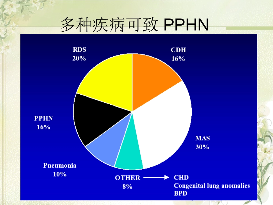PPHN 新生儿持续肺动脉高压_第10页