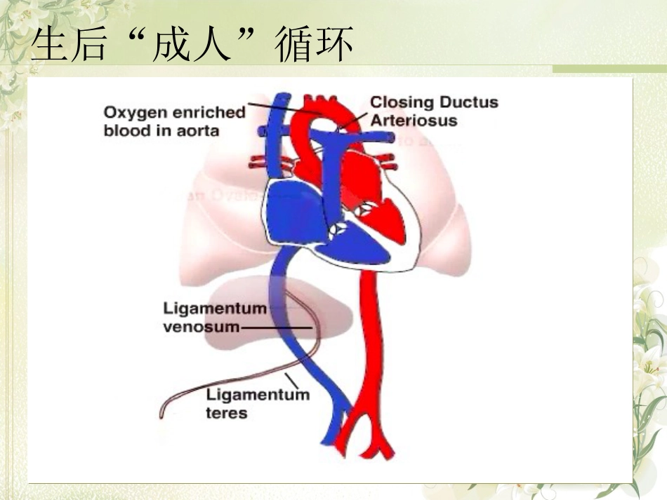 PPHN 新生儿持续肺动脉高压_第3页