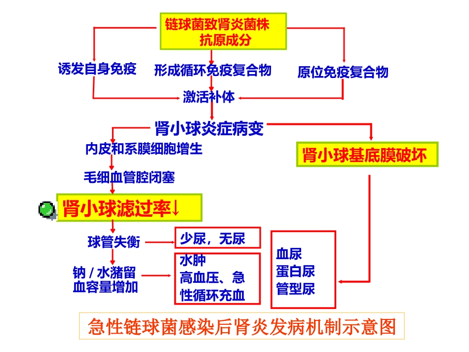 【儿科学】急性肾小球肾炎_第7页