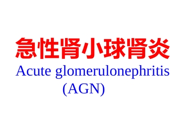 【儿科学】急性肾小球肾炎
