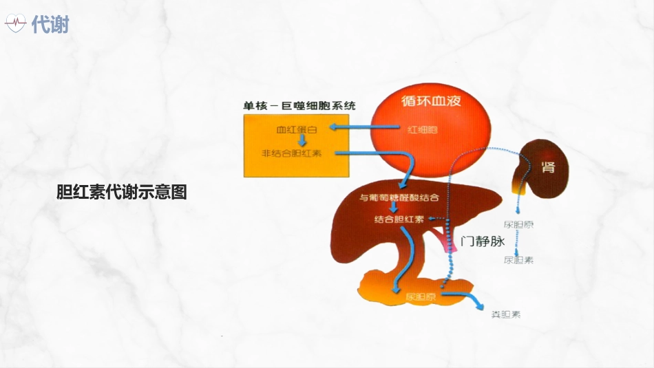 新生儿高胆红素血症护理查房_第5页