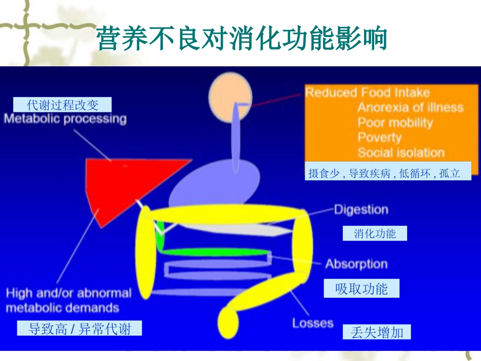 儿科病人营养评估及营养治疗循证_第12页