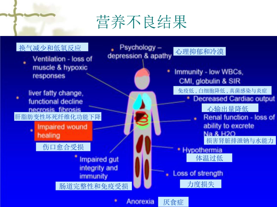 儿科病人营养评估及营养治疗循证_第13页