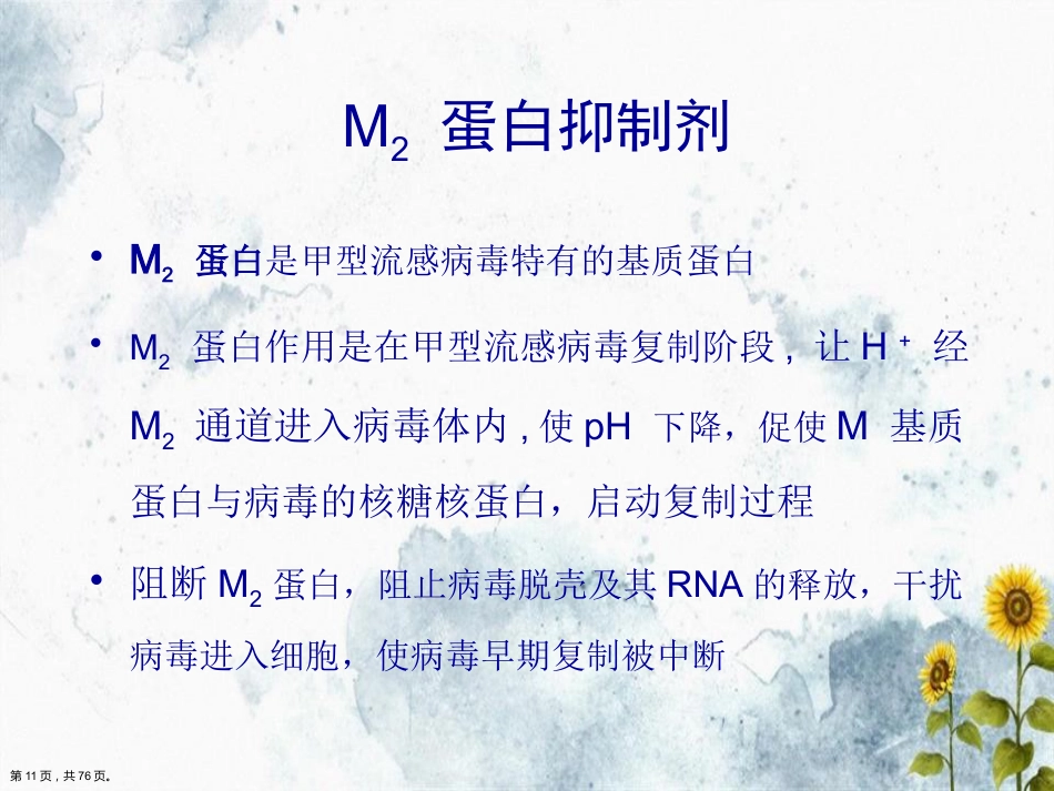 儿科常见病毒及抗病毒药物简化讲课_第11页