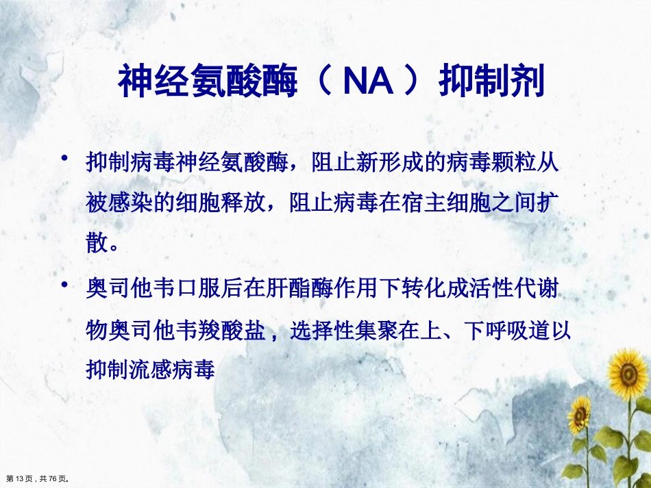 儿科常见病毒及抗病毒药物简化讲课_第13页