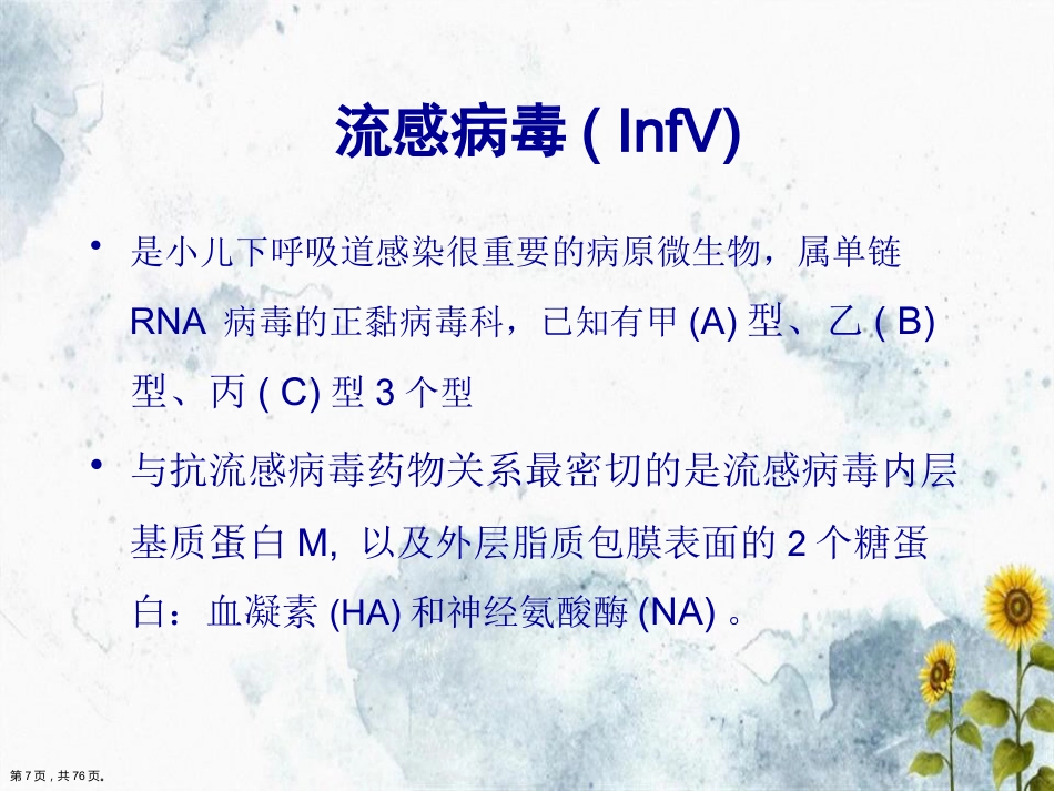 儿科常见病毒及抗病毒药物简化讲课_第7页