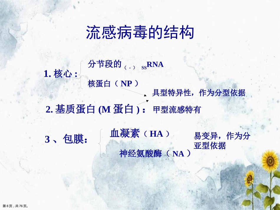 儿科常见病毒及抗病毒药物简化讲课_第8页