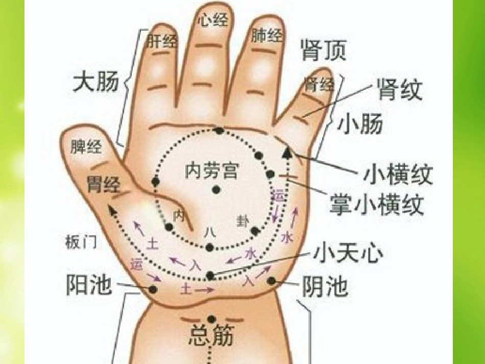 小儿腹泻推拿治疗_第6页