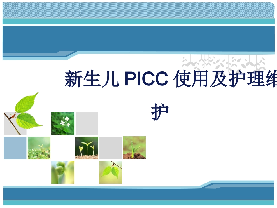 新生儿PICC使用及护理维护-PPT_第1页