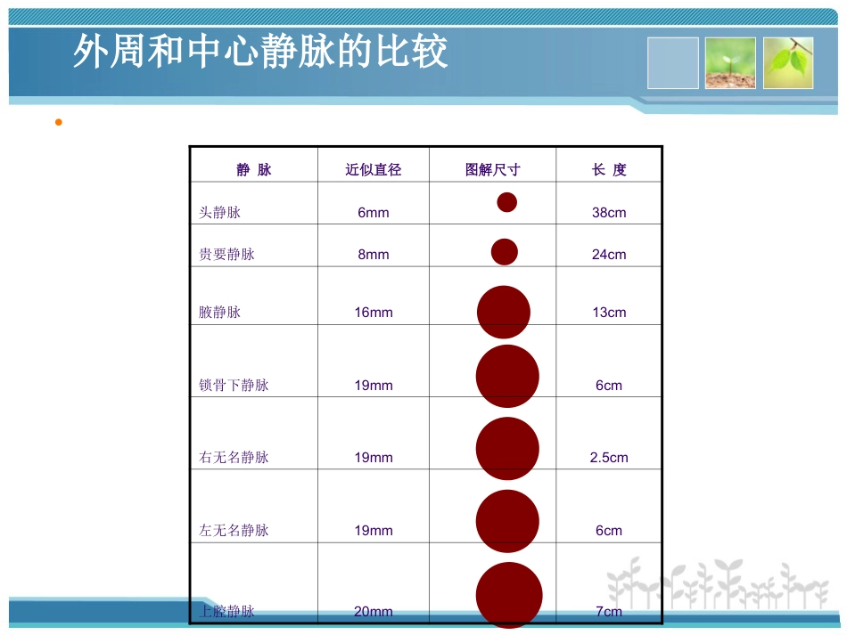 新生儿PICC使用及护理维护-PPT_第8页
