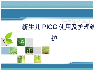 新生儿PICC使用及护理维护-PPT