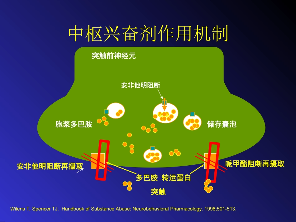 儿童精神药物治疗与进展ppt课件_第12页