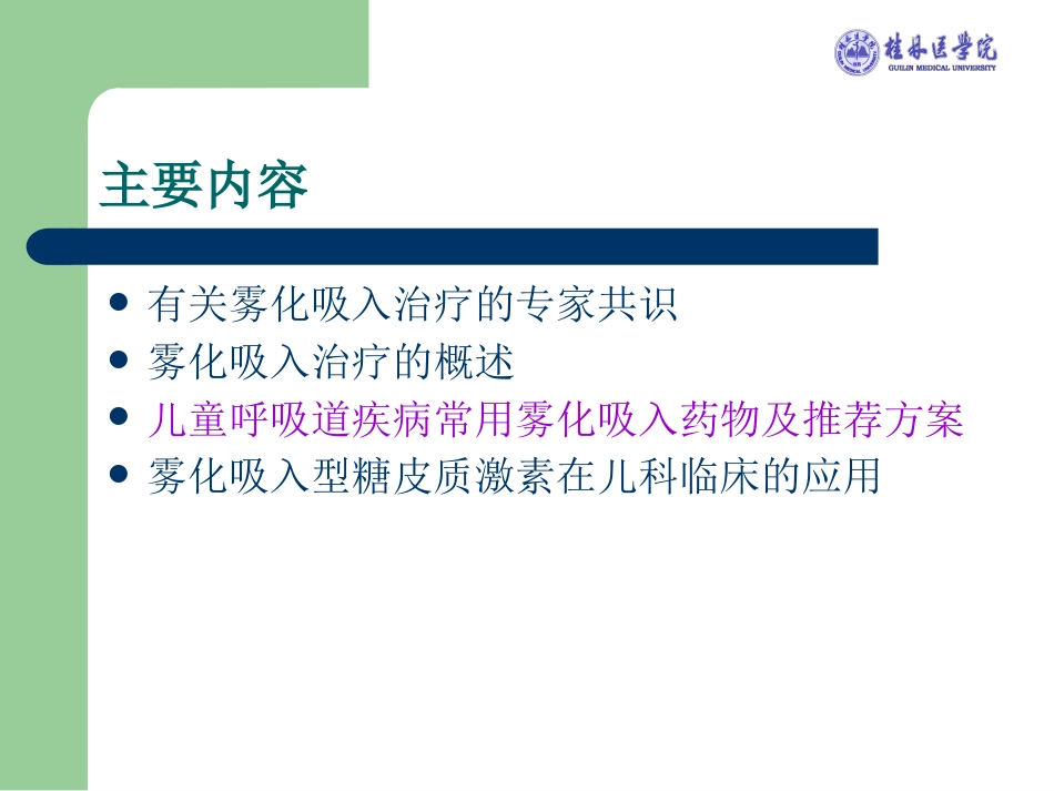 版儿科雾化专家共识解读_第13页