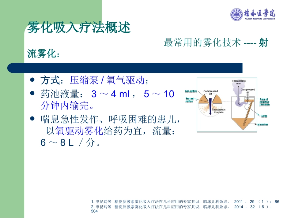 版儿科雾化专家共识解读_第8页