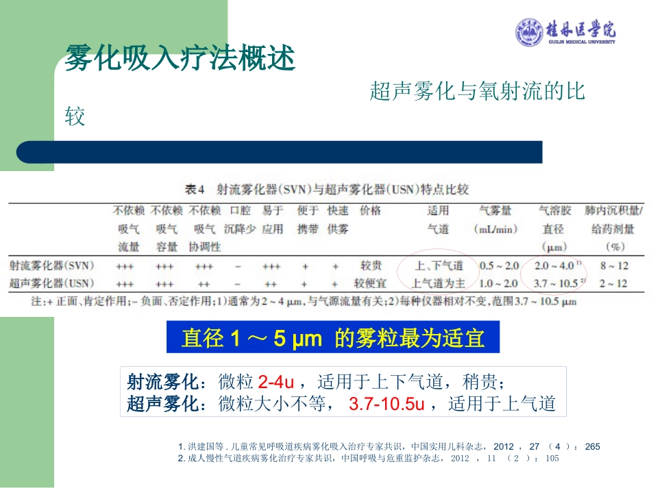 版儿科雾化专家共识解读_第9页