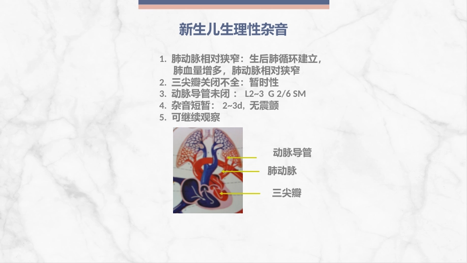 新生儿先天性心脏病病例讨论_第4页