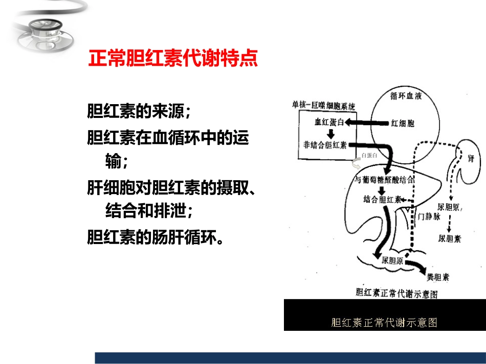 儿科 新生儿黄疸_第5页