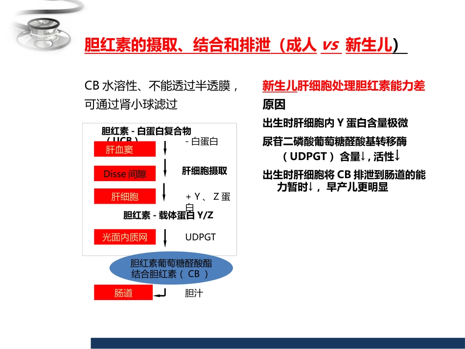 儿科 新生儿黄疸_第8页