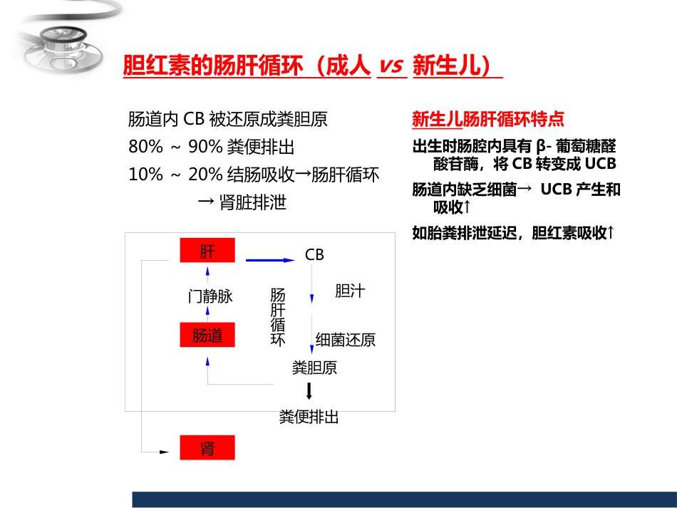 儿科 新生儿黄疸_第9页