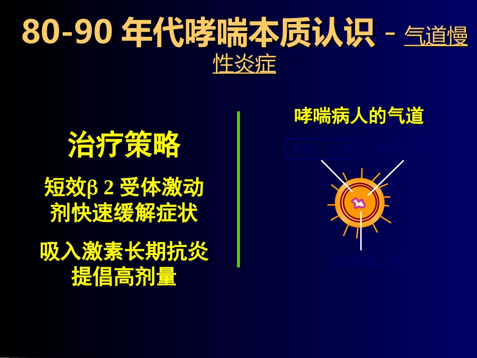 儿童哮喘的药物治疗-PPT课件_第13页