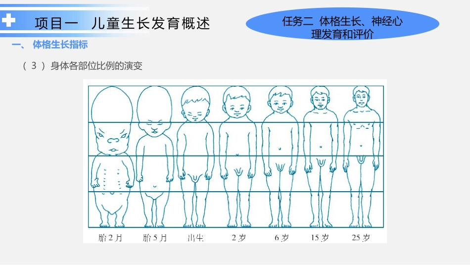 生长发育护理_第10页