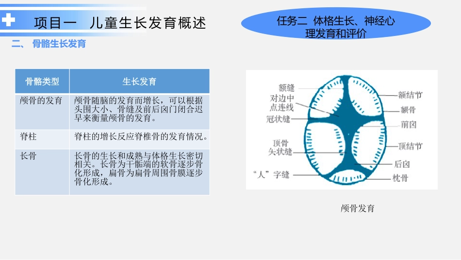 生长发育护理_第13页
