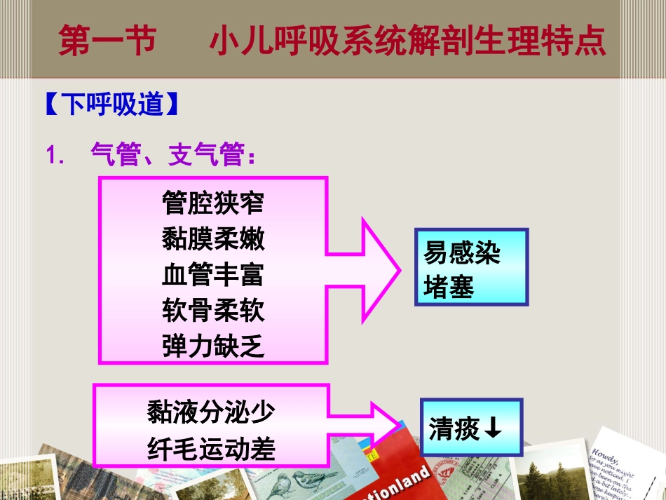 儿科 呼吸系统疾病_第7页