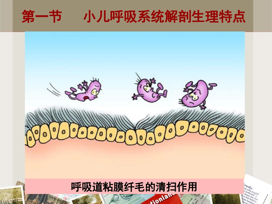儿科 呼吸系统疾病_第8页