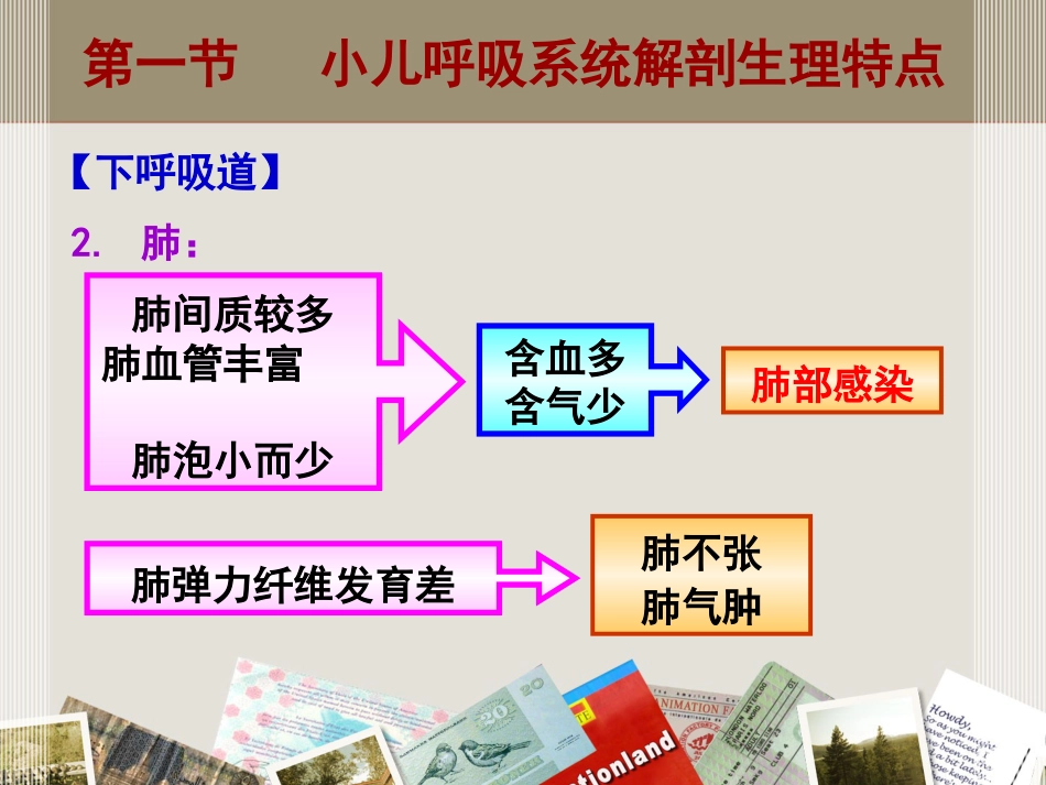 儿科 呼吸系统疾病_第9页