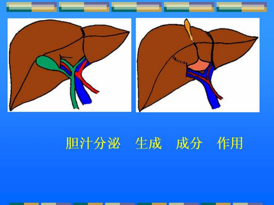 胆道闭锁儿科讲课课件课件_第2页