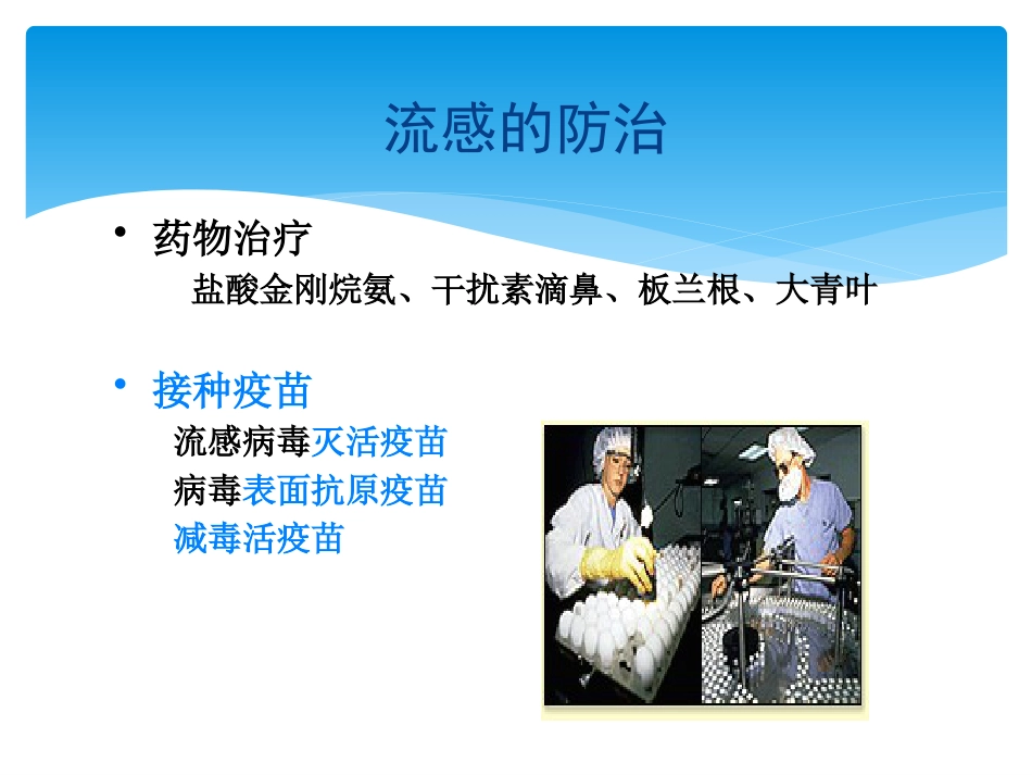 儿科常见病毒及抗病毒药物简化版_第10页