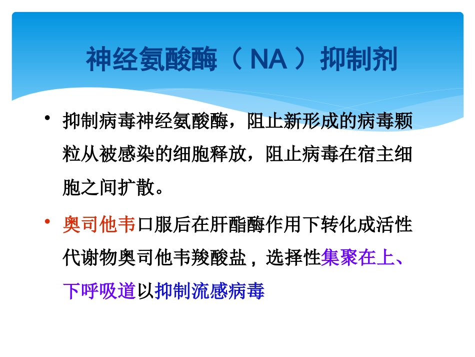儿科常见病毒及抗病毒药物简化版_第13页