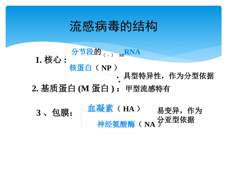 儿科常见病毒及抗病毒药物简化版_第8页