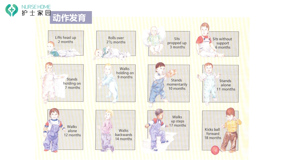 0-6岁婴幼儿生理发育_第14页