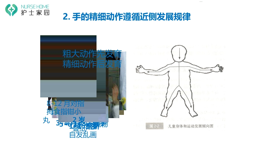 0-6岁婴幼儿生理发育_第15页