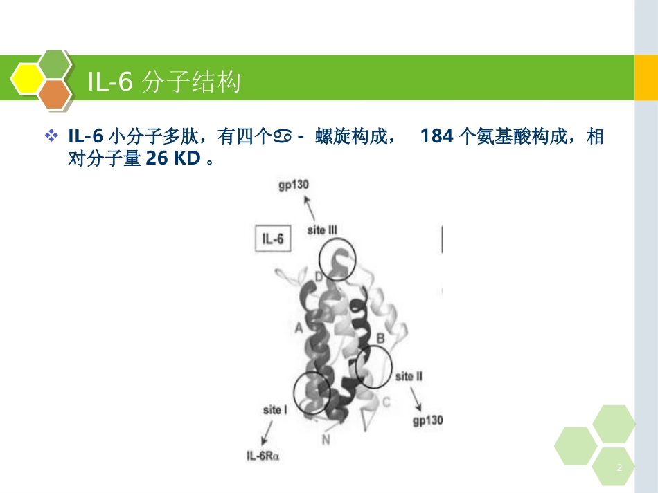 白细胞介素-6的在儿科应用的临床意义_第2页