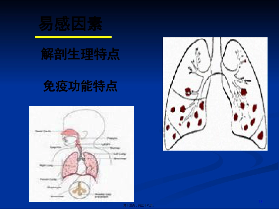 2022医学课件儿科-肺炎_第13页