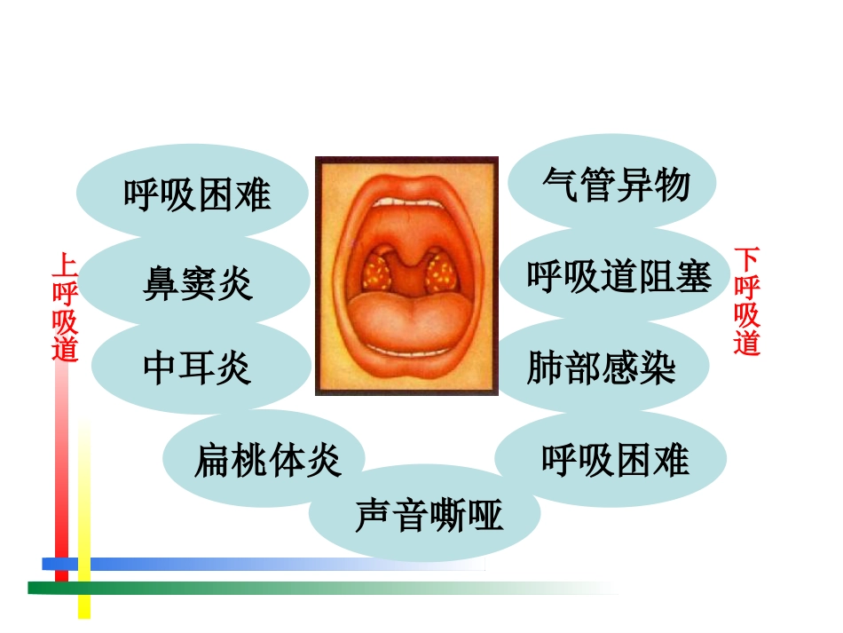儿科呼吸系统疾病诊疗及护理进展_第13页