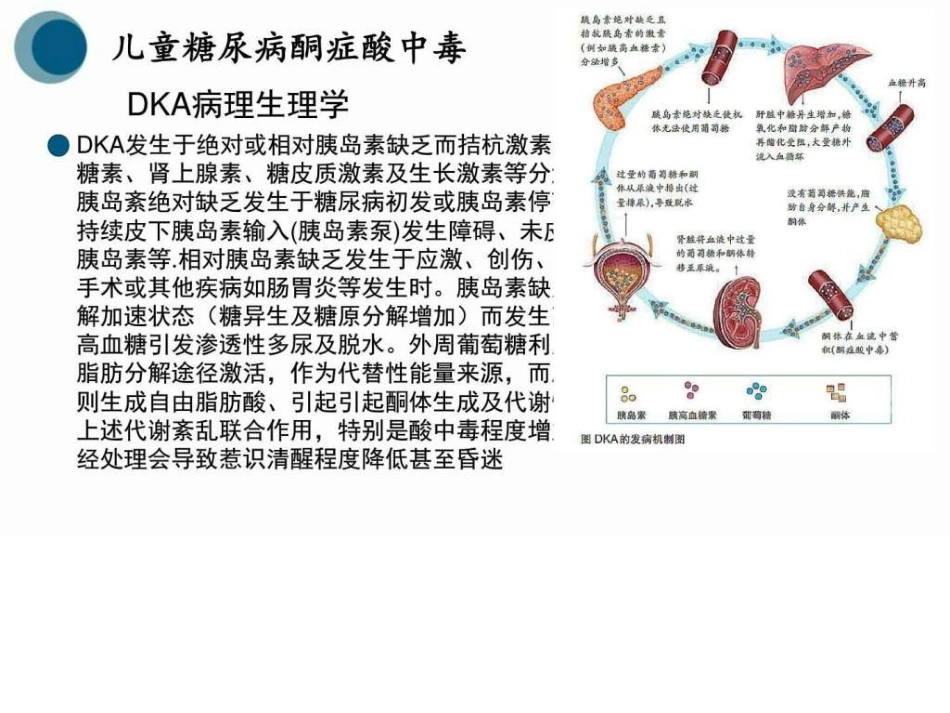 儿科儿童糖尿病图文_第4页