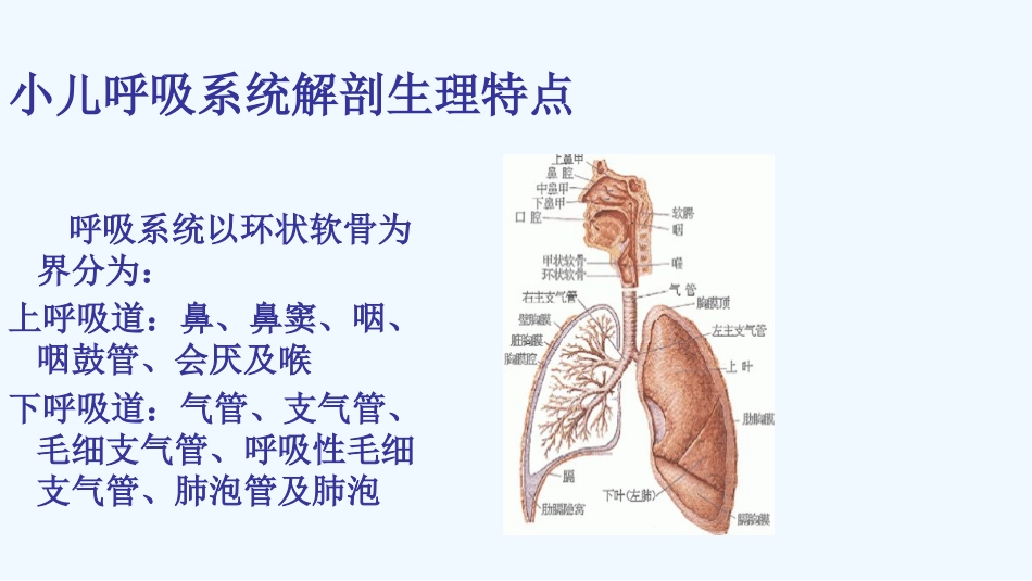 儿科呼吸系统患儿护理_第6页