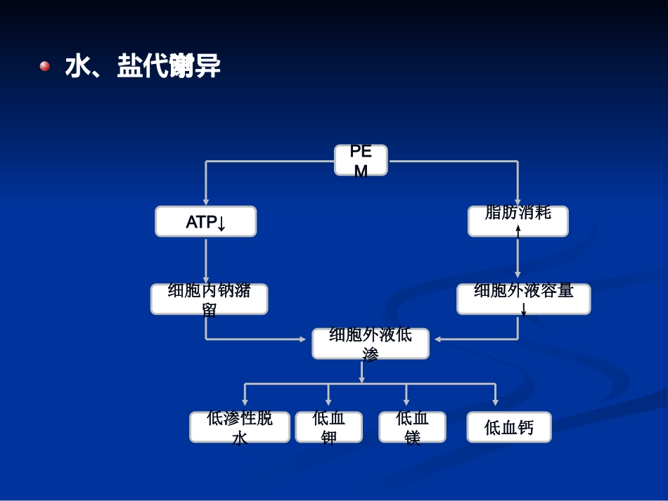 儿科蛋白质-能量营养不良 PEM_第12页
