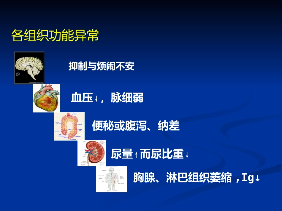 儿科蛋白质-能量营养不良 PEM_第14页